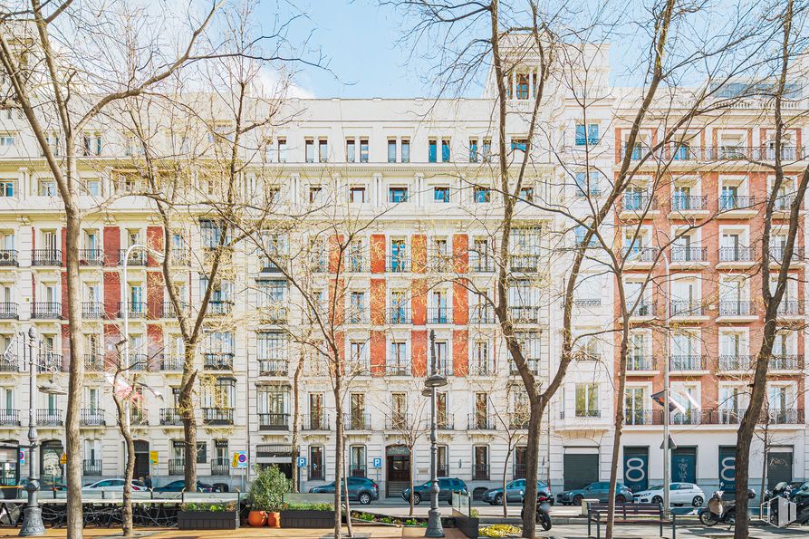 Oficina en alquiler en Paseo Castellana, 10, Salamanca, Madrid, 28046 con durante el día, edificio, ventana, arquitectura, diseño urbano, árbol, cielo, barrio, condominio y bioma alrededor