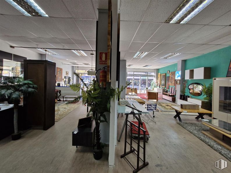 Retail for sale at Calle Marqués de Viana, 22, Tetuán, Madrid, 28039 with houseplant, interior design, flooring, ceiling, floor, furniture, lighting, shelving, shelf and glass around