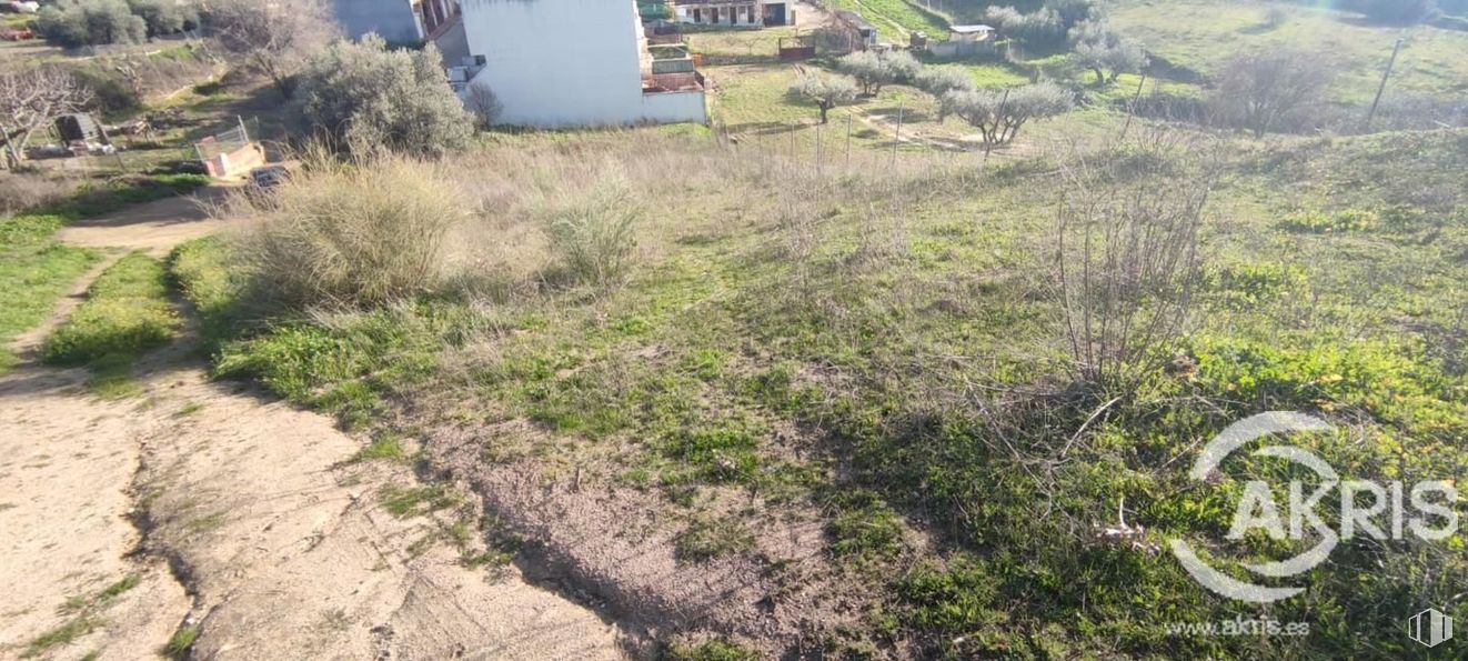 Land for sale at Casco urbano, Méntrida, Toledo, 45930 with animal, plant, plant community, land lot, grass, natural landscape, slope, landscape, groundcover and grassland around