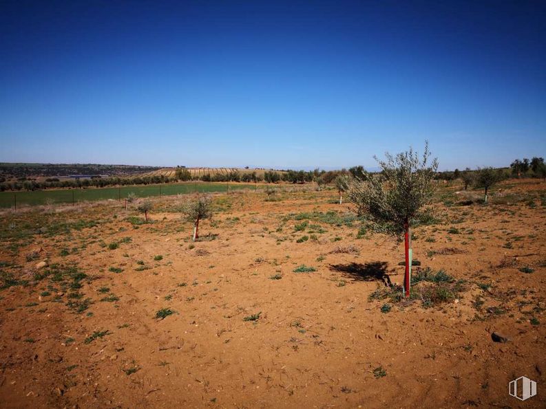 Land for sale at Zona urbanizable, Layos, Toledo, 45123 with sky, cloud, plant, natural landscape, plain, grass, horizon, tints and shades, grassland and landscape around