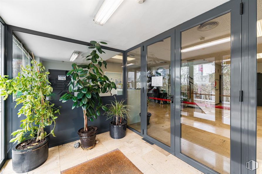 Oficina en venta en Edificio Fuentemar, Avenida Fuentemar, Coslada, Madrid, 28820 con planta de interior, maceta, planta, propiedad, edificio, ventana, interiorismo, accesorio, suelo y inmobiliario alrededor