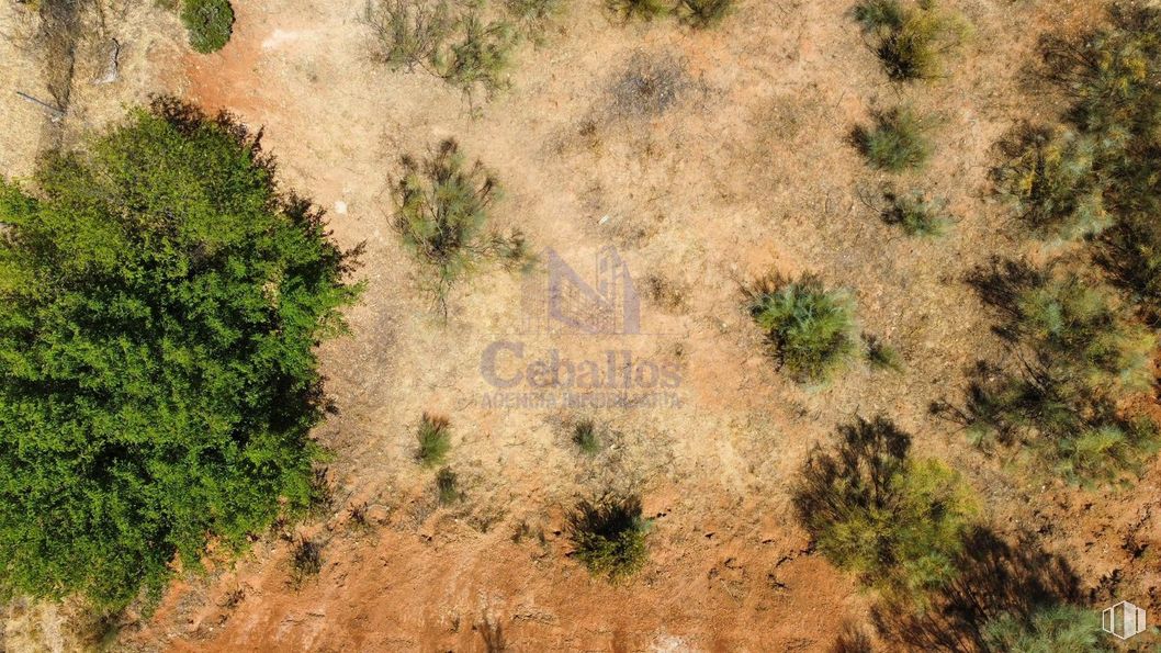 Suelo en venta en Calle Valde Hondillo, Cabanillas del Campo, Guadalajara, 19171 con planta, comunidad vegetal, planta terrestre, hierba, cubierta vegetal, arbusto, Siempre verde, paisaje natural, paisaje y subarbusto alrededor