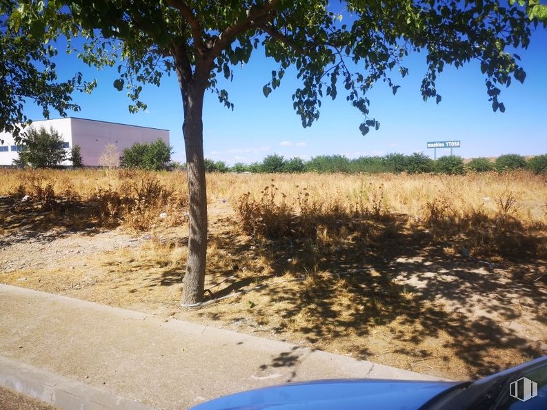 Suelo en venta en Calle Montes de Toledo, Illescas, Toledo, 45200 con planta, cielo, comunidad de plantas, ecorregión, árbol, vegetación, lote de tierra, exterior automotriz, hierba y sombra alrededor