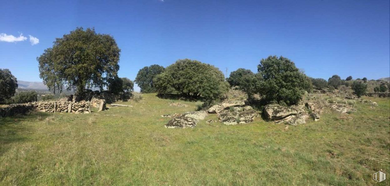 Land for sale at Polígono 10 Parcela, 139, Burgohondo, Ávila, 05113 with sky, plant, tree, natural landscape, grass, bedrock, grassland, landscape, shrub and prairie around