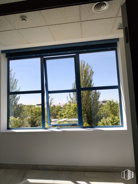 Oficina en alquiler en Calle Chile, 10, Las Rozas de Madrid, Madrid, 28290 con ventana, planta, cielo, accesorio, edificio, botánica, sombra, diseño de interiores, vidrio, mañana y bienes raíces alrededor