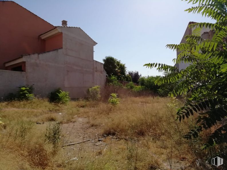 Land for sale at Avenida Mancha, Villacañas, Toledo, 45860 with house, building, plant, sky, plant community, land lot, tree, grass, terrestrial plant and morning around