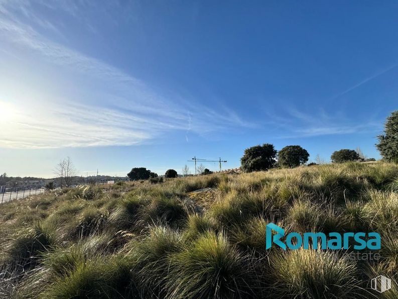 Land for sale at Calle Zurra, 1, Ávila, 05004 with cloud, sky, plant, plant community, natural landscape, grass, tree, grassland, landscape and plain around