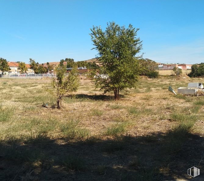 Suelo en venta en Camino Ancho, 19 A, Daganzo de Arriba, Madrid, 28814 con cielo, planta, comunidad vegetal, paisaje natural, árbol, arbusto, pradera, paisaje, llano y tintes y matices alrededor