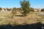 Land for sale at Camino Ancho, 19 A, Daganzo de Arriba, Madrid, 28814 with sky, plant, plant community, natural landscape, tree, shrub, grassland, landscape, plain and tints and shades around