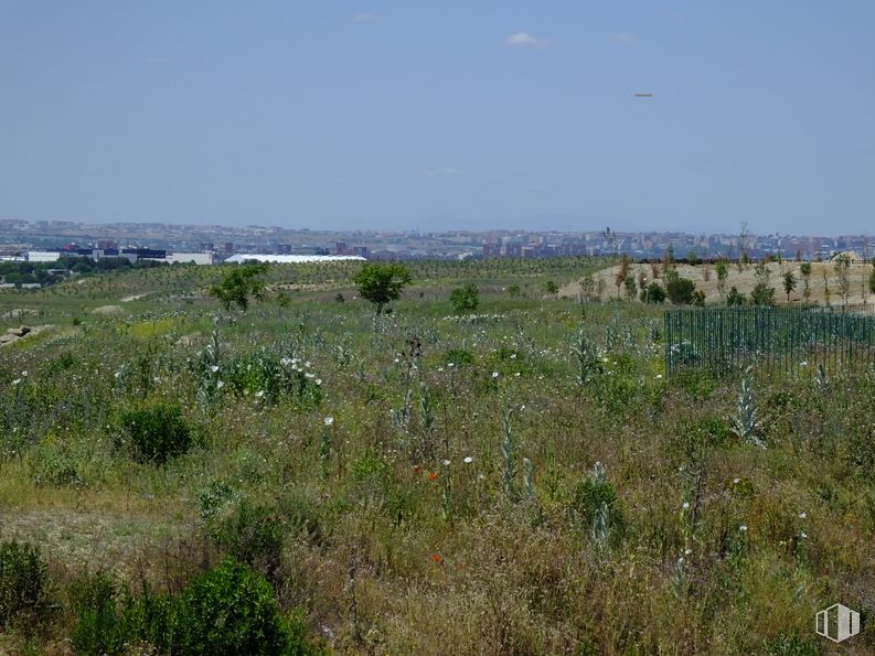 Suelo en venta en Polígono UZP0301 Valdecarros, Villa de Vallecas, Madrid, 28051 con cielo, planta, flor, paisaje natural, hierba, planta herbácea, nube, llanura, pastizal y prado alrededor