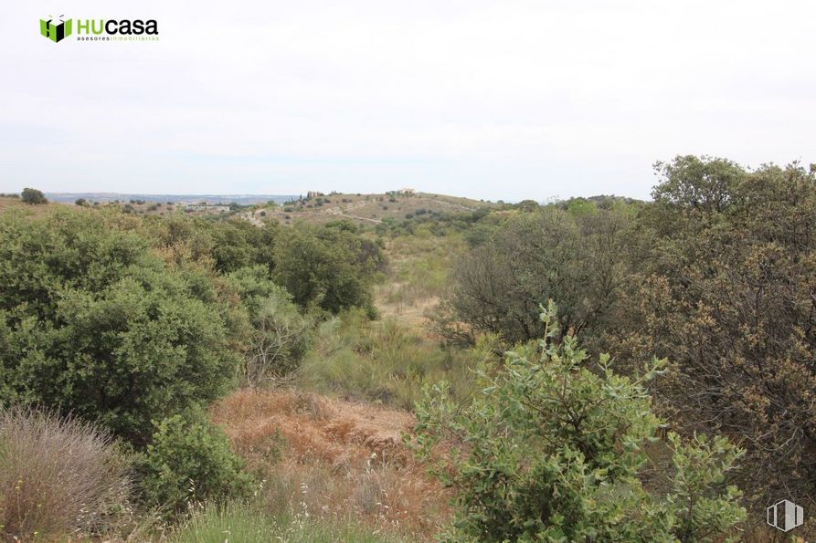 Land for sale at Zona Urbanización Montesión, Toledo, 45008 with plant, plant community, sky, natural landscape, cloud, tree, shrub, grassland, grass and landscape around