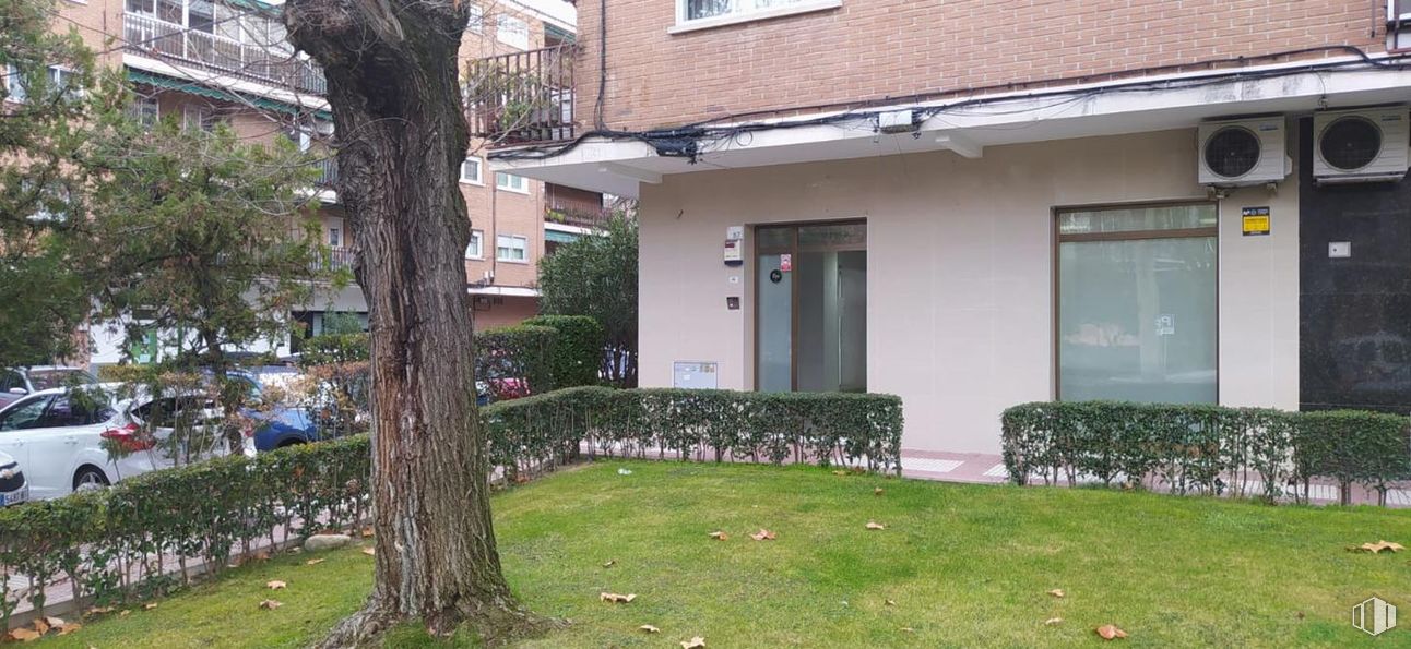 Local en venta en Paseo Chopera, Alcobendas, Madrid, 28100 con coche, ventana, planta, propiedad, edificio, hoja, botánica, árbol, lote de terreno y barrio alrededor