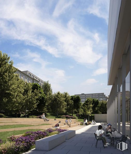 Office for rent at Edificio Torre de los Valores, Calle Mesena, 80, Hortaleza, Madrid, 28033 with person, building, chair, cloud, sky, plant, tree, road surface, urban design and leisure around