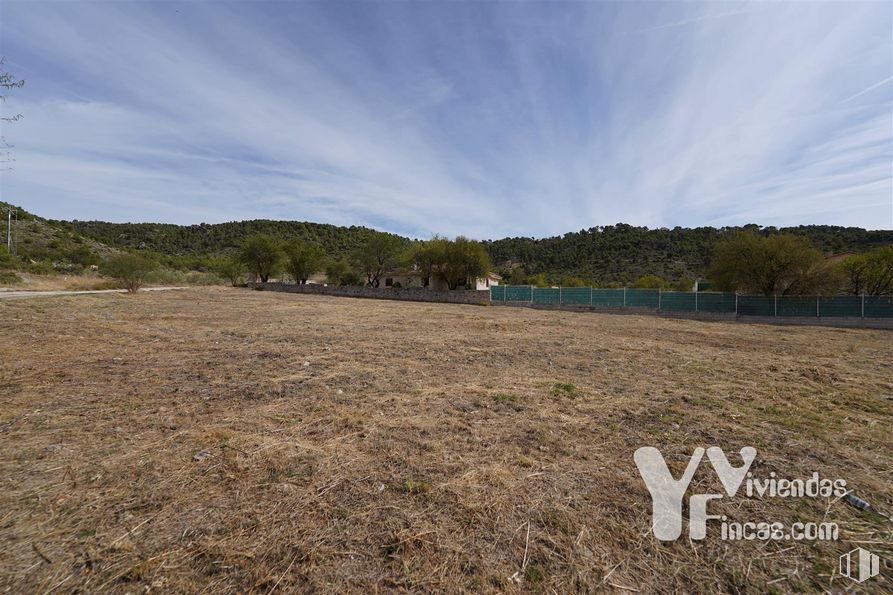 Land for sale at Camino Buendía, 1, Albalate de Zorita, Guadalajara, 19117 with cloud, sky, plant, natural landscape, tree, land lot, landscape, horizon, grassland and plain around