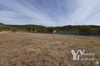 Land for sale at Camino Buendía, 1, Albalate de Zorita, Guadalajara, 19117 with cloud, sky, plant, natural landscape, tree, land lot, landscape, horizon, grassland and plain around