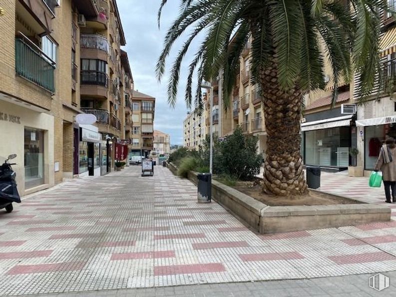 Retail for sale at Zona Santa Teresa, Toledo, 45004 with person, building, daytime, plant, window, road surface, sky, tree, urban design and arecales around