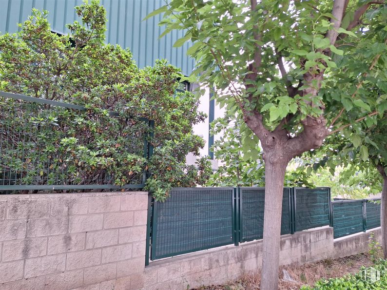 Nave en alquiler en Zona Rivas-Vaciamadrid, Rivas-Vaciamadrid, Madrid, 28529 con planta, ladrillo, superficie de la carretera, albañilería, valla, árbol, arbusto, planta leñosa, sombra y hierba alrededor