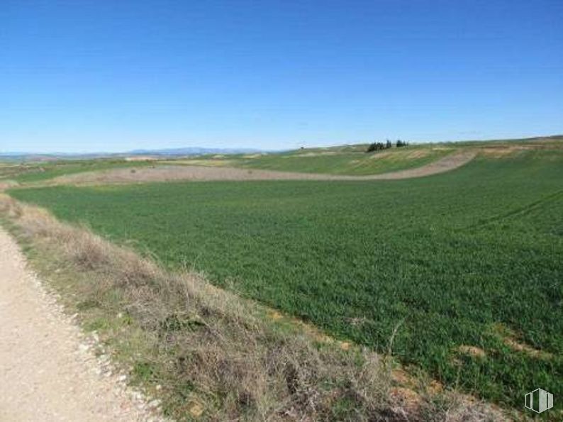 Suelo en venta en Calle Sector urbanizable, AR, Tórtola de Henares, Guadalajara, 19198 con cielo, planta, paisaje natural, hierba, lote de tierra, agricultura, pastizal, paisaje, prado y pendiente alrededor