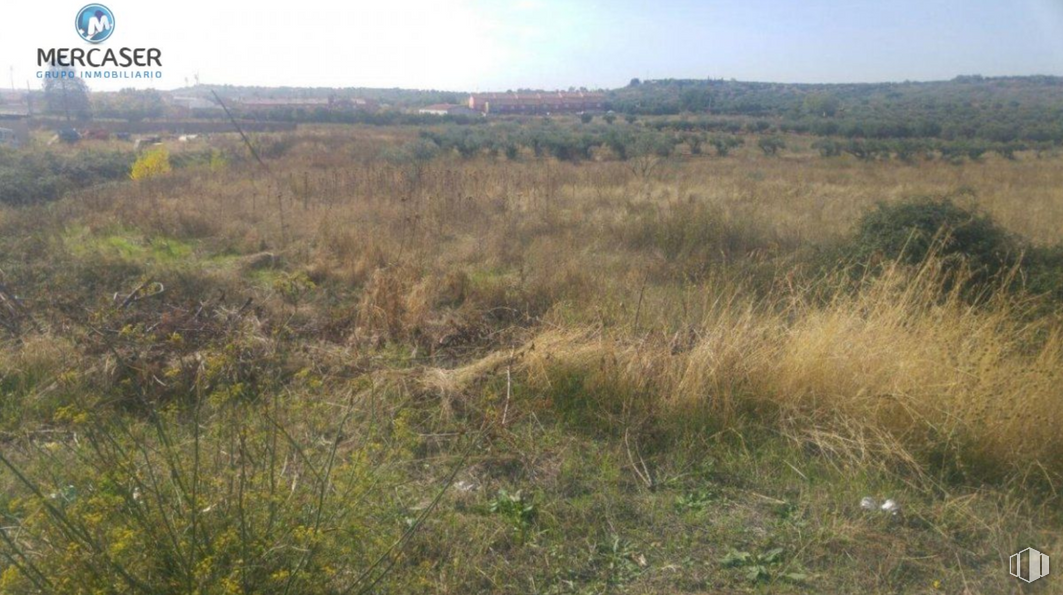 Land for sale at Senda Zalagarda , Cabanillas del Campo, Guadalajara, 19171 with hat, plant, sky, natural landscape, tree, plain, grassland, landscape, grass and shrub around