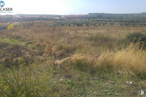 Land for sale at Senda Zalagarda , Cabanillas del Campo, Guadalajara, 19171 with hat, plant, sky, natural landscape, tree, plain, grassland, landscape, grass and shrub around