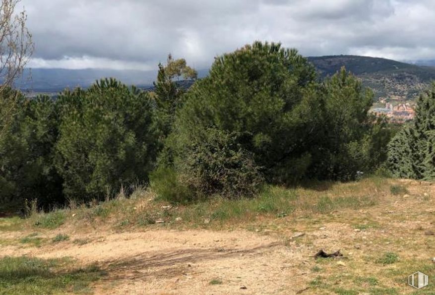 Land for sale at Calle Pradera de la Cierva, Collado Villalba, Madrid, 28400 with cloud, sky, plant, natural landscape, tree, vegetation, mountain, land lot, grass and grassland around