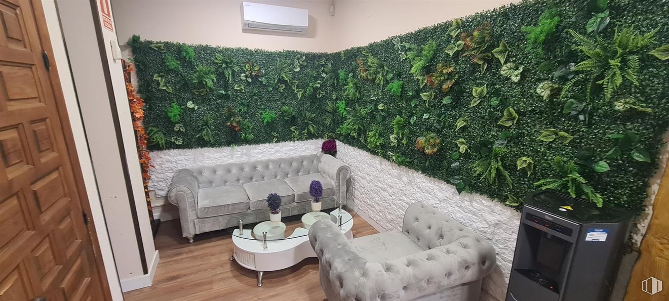 Retail for rent at Calle Francisco Silvano, Hortaleza, Madrid, 28043 with couch, door, interior design, furniture, living room, houseplant, daybed, chair, coffee table and conifers around