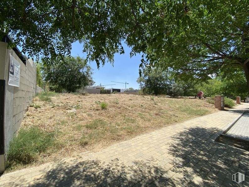 Suelo en venta en Calle Isla de Córcega, Pozuelo de Alarcón, Madrid, 28224 con planta, cielo, superficie de la carretera, lote de terreno, vegetación, árbol, hierba, asfalto, paisaje y edificio alrededor