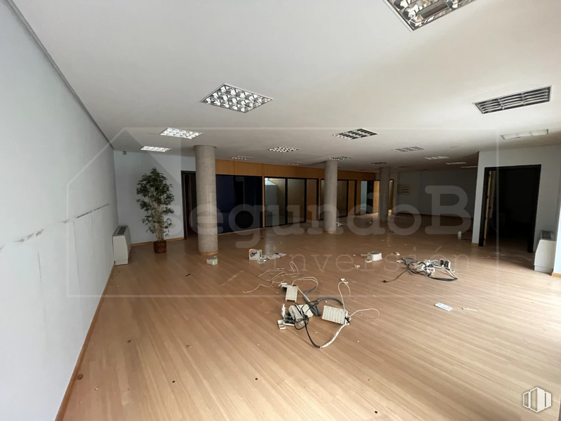 Retail for sale at Calle Escuelas Católicas, 1, Las Rozas de Madrid, Madrid, 28230 with houseplant, lighting, musical instrument, building, hall, wood, flooring, floor, ceiling and house around