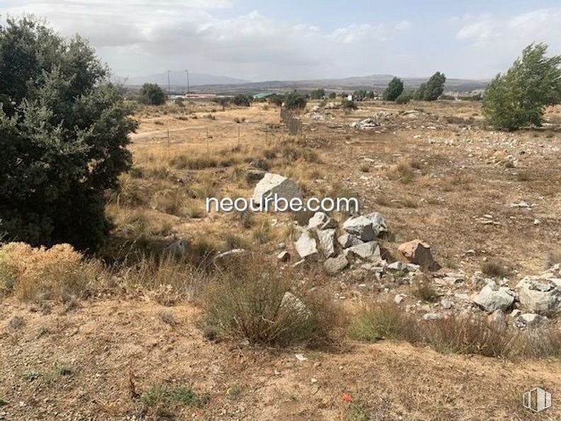 Land for sale at Calle Albacete, Ávila, 05004 with plant, animal, sky, cloud, plant community, ecoregion, natural landscape, natural environment, land lot and bedrock around