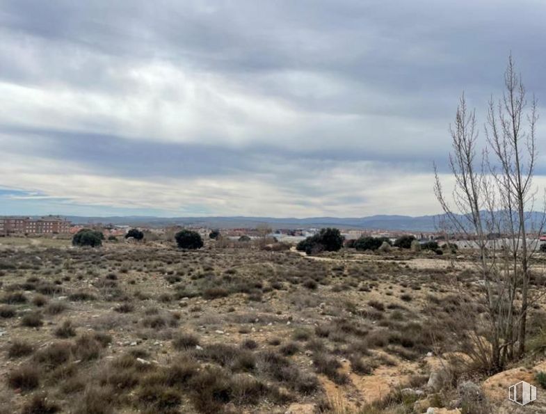 Land for sale at Zona hospital, Ávila, 05004 with cloud, sky, plant, natural landscape, working animal, plain, grassland, formation, grazing and landscape around