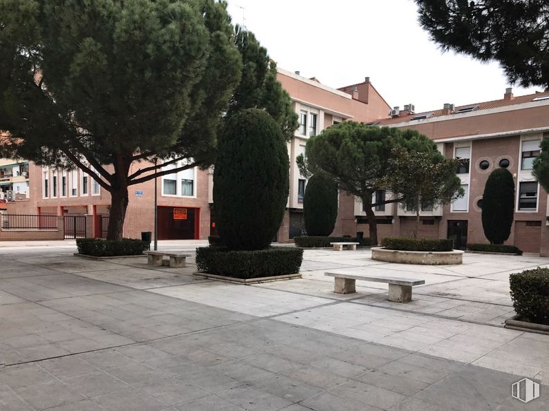 Local en alquiler y venta en Plaza Marlasca, Guadalajara, 19001 con planta, mesa de trabajo, edificio, ventana, árbol, superficie de la carretera, diseño urbano, pared, espacio publico, planta leñosa y ciudad alrededor