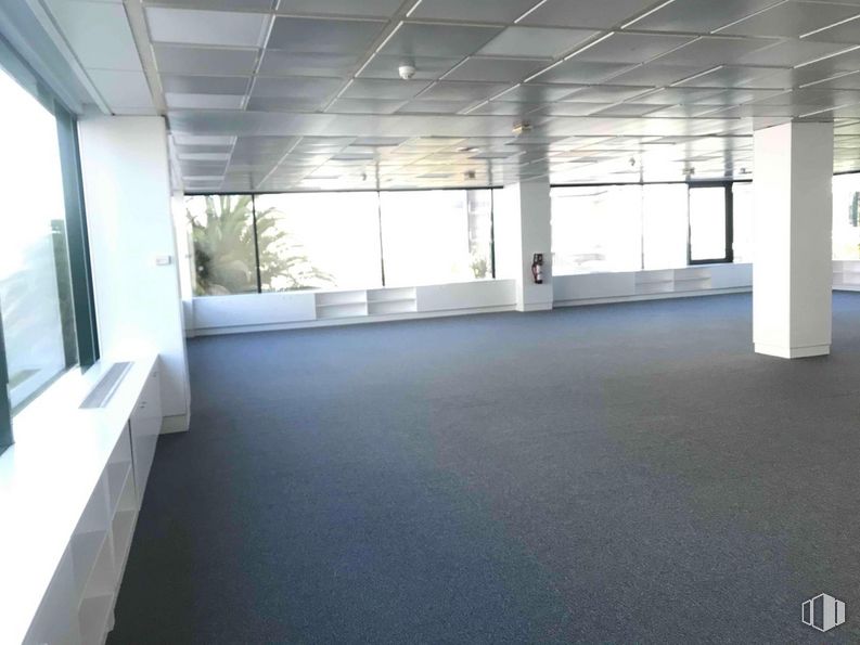 Oficina en alquiler en Zona empresarial La Moraleja, Alcobendas, Madrid, 28108 con propiedad, accesorio, hall, interiorismo, sombra, suelos, suelo, pared, planta y madera alrededor