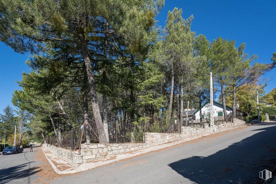 Land for sale at Calle Pino, Las Navas del Marqués, Ávila, 05239 with sky, plant, road surface, asphalt, tree, slope, shade, neighbourhood, thoroughfare and woody plant around