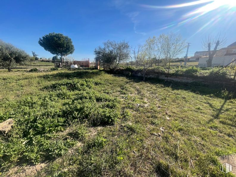 Land for sale at Camino de la Torre, Santa Cruz del Retamar, Toledo, 45513 with sky, plant, plant community, leaf, natural landscape, tree, natural environment, cloud, vegetation and biome around