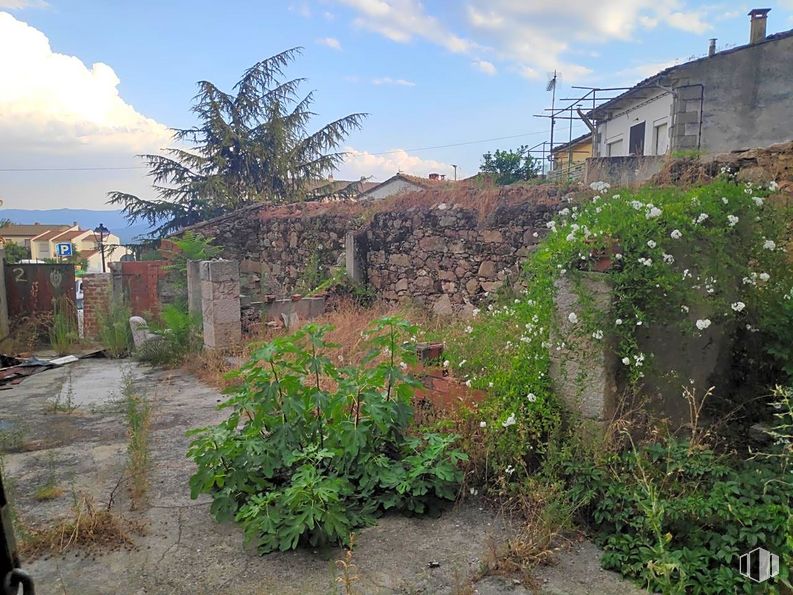 Land for sale at Calle San Roque, Piedralaves, Ávila, 05440 with house, plant, sky, cloud, property, flower, plant community, building, land lot and vegetation around