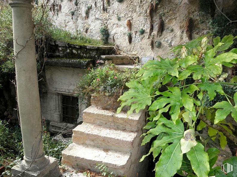 Retail for sale at Zona Centro, Sepúlveda, Segovia, 40300 with window, flower, plant, leaf, wood, vegetation, biome, grass, stairs and building around