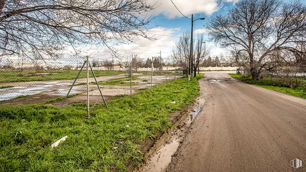 Land for sale at Avenida Aragón - Parcela T.3.5.402, 14, San Blas - Canillejas, Madrid, 28022 with cloud, plant, sky, natural landscape, land lot, tree, vegetation, sunlight, grass and landscape around