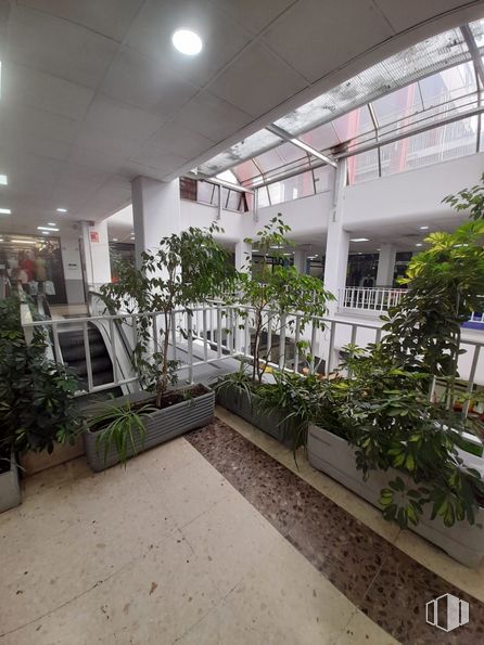 Local en venta en Centro Comercial Zoco, Calle Santa Teresa, 1, Arganda del Rey, Madrid, 28500 con planta, propiedad, planta de interior, edificio, diseño de interiores, diseño urbano, piso, condominio, bienes raíces y maceta alrededor