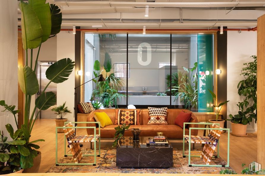 Office for rent at Monday Río, Paseo Imperial, 14, Arganzuela, Madrid, 28005 with couch, table, chair, plant, furniture, flowerpot, houseplant, interior design, window and terrestrial plant around