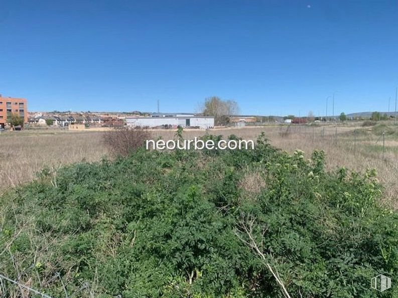 Land for sale at Calle Doctor Constantino Benito , Ávila, 05080 with sky, plant, plant community, natural landscape, land lot, tree, grass, grassland, plain and landscape around