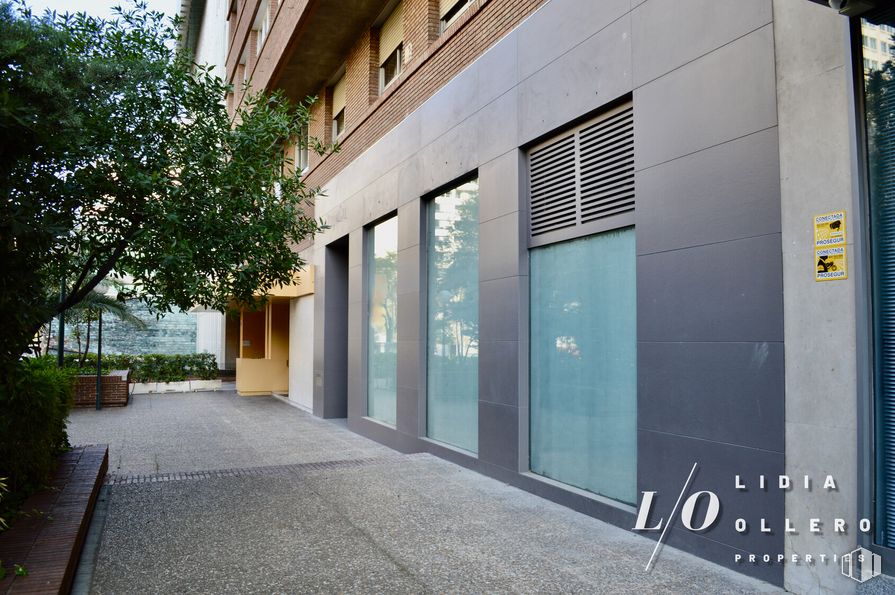 Oficina en alquiler y venta en Calle Francisco Gervás, Tetuán, Madrid, 28020 con ventana, edificio, propiedad, planta, accesorio, arquitectura, árbol, superficie de la carretera, casa y suelo alrededor