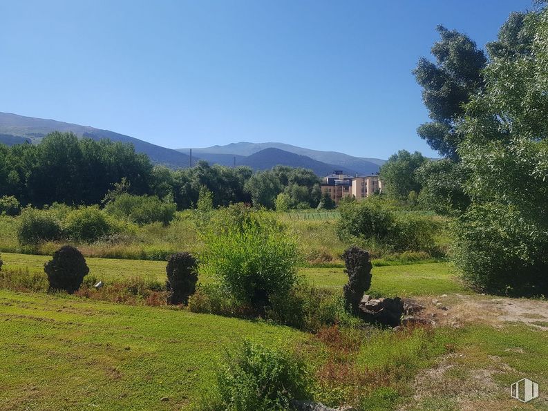 Suelo en venta en La Granja, San Ildefonso, Segovia, 40100 con animal, edificio, cielo, planta, paisaje natural, montaña, árbol, vegetación, hierba y llanura alrededor