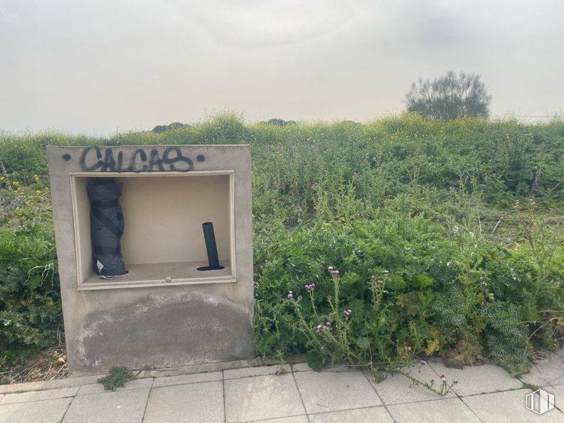 Land for sale at Calle Caspueñas, Cabanillas del Campo, Guadalajara, 19171 with plant, plant community, sky, cloud, land lot, grass, gas, landscape, road and groundcover around