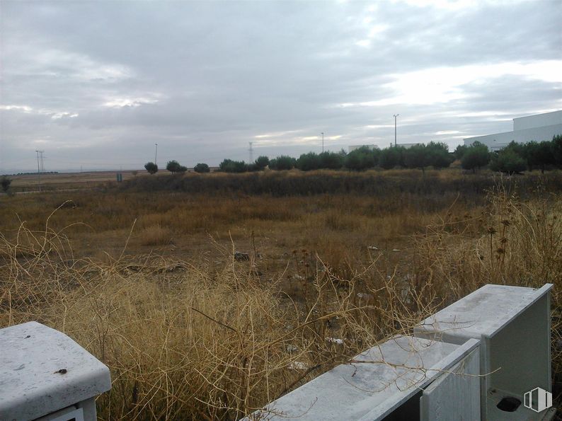 Land for sale & for rent at Avenida Nísperos, Ciempozuelos, Madrid, 28350 with ecoregion, plain, land lot, grasses, shrubland, steppe, soil, prairie, field and savanna around