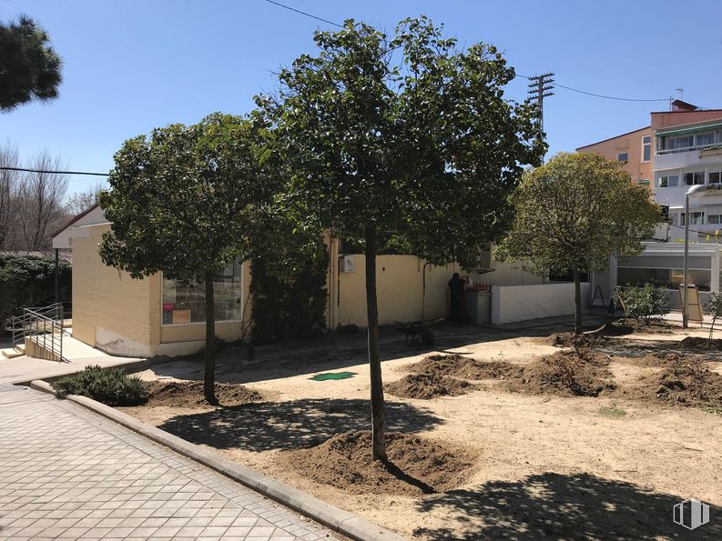 Local en venta en Calle de Telémaco, 8, San Blas - Canillejas, Madrid, 28027 con edificio, planta, cielo, ventana, sombra, asfalto, superficie de carretera, casa, árbol y lote de tierra alrededor