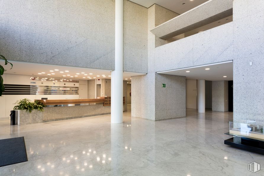 Office for rent at Edificio Bruselas, Avenida Europa, 4, Alcobendas, Madrid, 28108 with houseplant, furniture, property, fixture, architecture, interior design, floor, flooring, hall, plant, wall and material property around