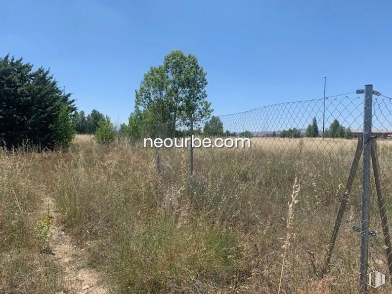 Land for sale at Calles Juan Aurelio Sánchez Tadeo, Ávila, 05003 with sky, plant, natural landscape, tree, land lot, fence, grass, grassland, plain and wire fencing around