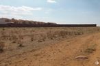 Land for sale at Calle Sector, Nambroca, Toledo, 45190 with sky, cloud, plant, natural landscape, plain, landscape, grass, grassland, horizon and road around