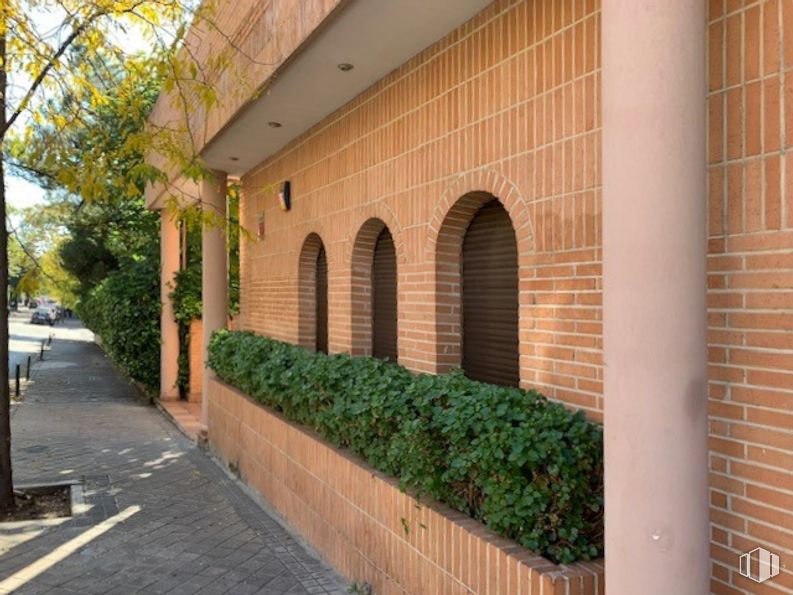 Local en venta en Calle Agastia, Ciudad Lineal, Madrid, 28043 con planta, edificio, albañilería, ladrillo, árbol, superficie de la carretera, sombra, zona residencial, diseño urbano y ventana alrededor