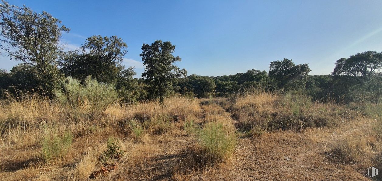 Land for sale at Urbanización Sector 1, Hormigos, Toledo, 45919 with sky, plant, natural landscape, tree, grass, shrub, plain, meadow, grassland and landscape around